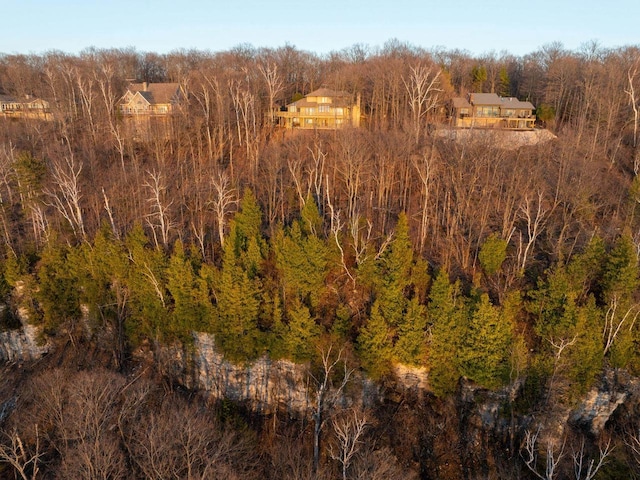 view of woods