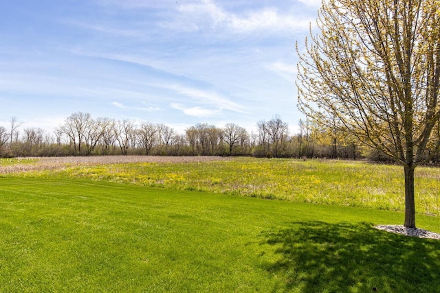 view of green lawn