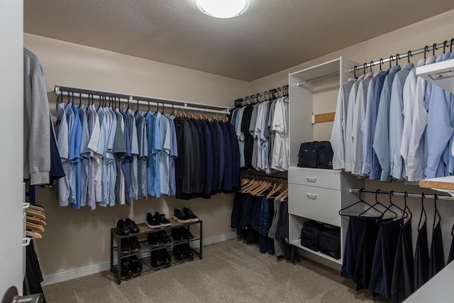 spacious closet with carpet flooring