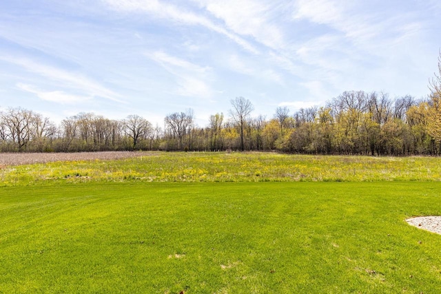 view of grassy yard