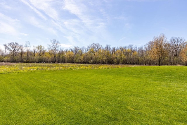 view of grassy yard