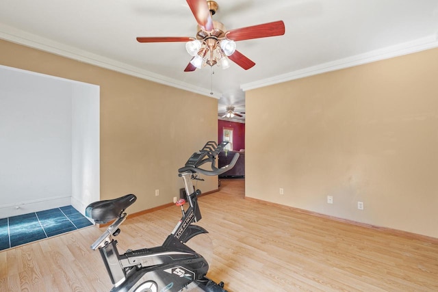 1214 S 17th St, Sheboygan, WI 53081 - exercise area featuring a ceiling fan, wood finished floors, crown molding, and baseboards