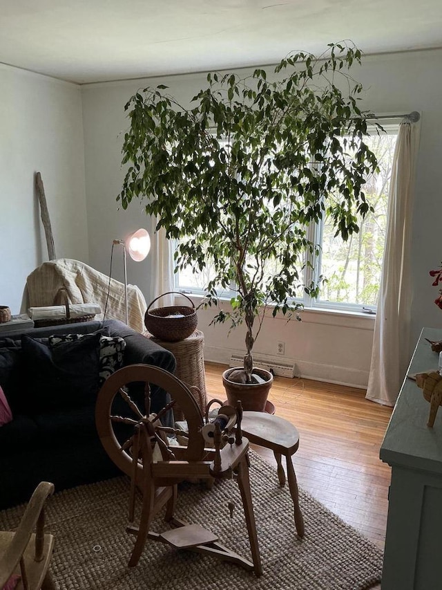 W59N367 Hilbert Ave, Cedarburg, WI 53012 - living area with light wood-style flooring and a baseboard heating unit