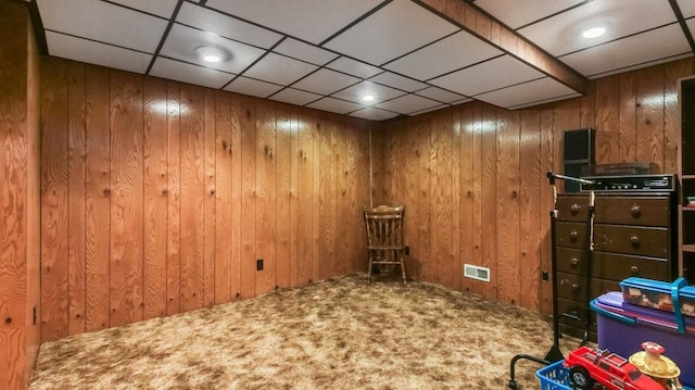 3710 Mcelroy St, Eau Claire, WI 54701 - finished basement featuring carpet and wood walls