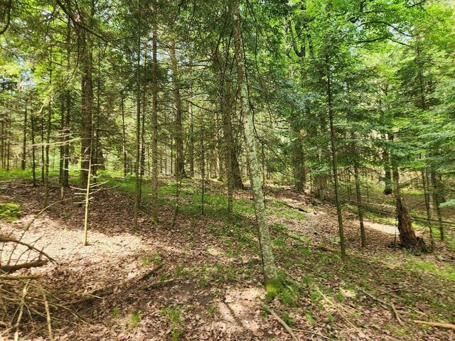 5912 W Twin Lake Rd, Hazelhurst, WI 54531