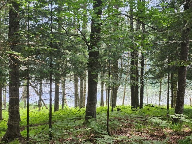 5912 W Twin Lake Rd, Hazelhurst, WI 54531