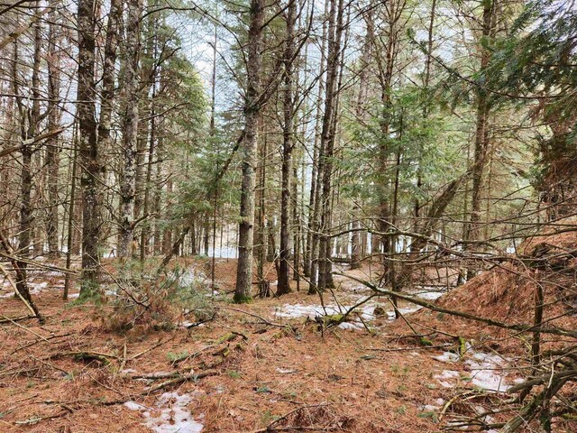 5912 W Twin Lake Rd, Hazelhurst, WI 54531