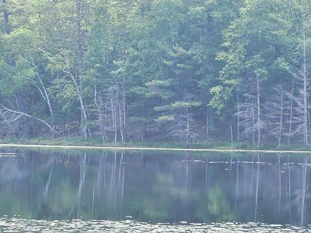 5912 W Twin Lake Rd, Hazelhurst, WI 54531