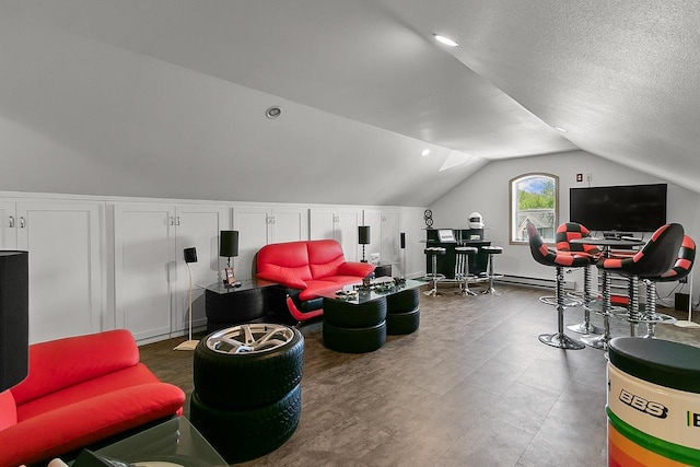 W11055 Eagle Dr, Lodi, WI 53555 - living room with lofted ceiling and a baseboard heating unit