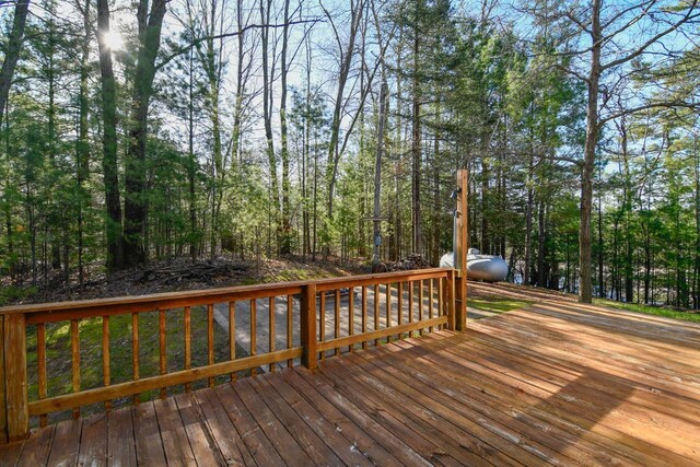 6615 Birchwood Shores Ln, Oconto Falls, WI 54154 - view of wooden deck