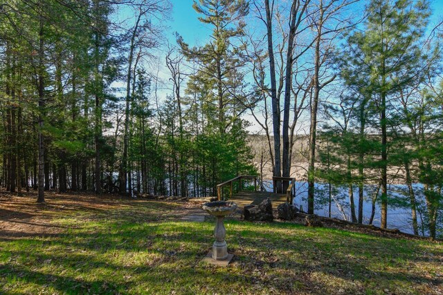 6615 Birchwood Shores Ln, Oconto Falls, WI 54154 - view of yard