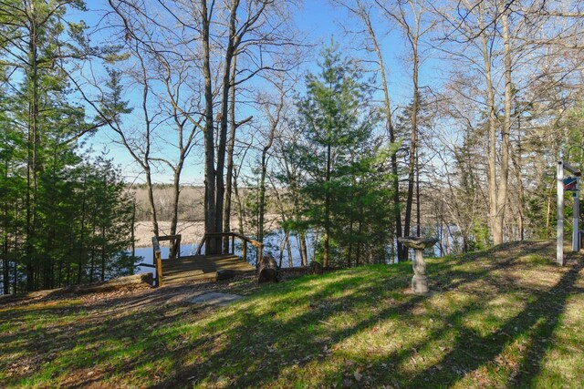 6615 Birchwood Shores Ln, Oconto Falls, WI 54154 - view of yard