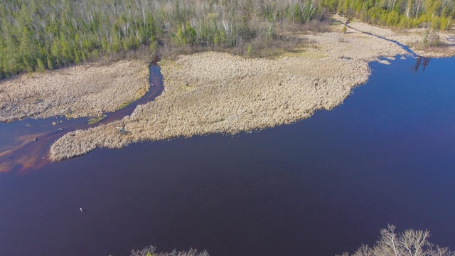 6615 Birchwood Shores Ln, Oconto Falls, WI 54154 - aerial overview of property's location featuring a large body of water