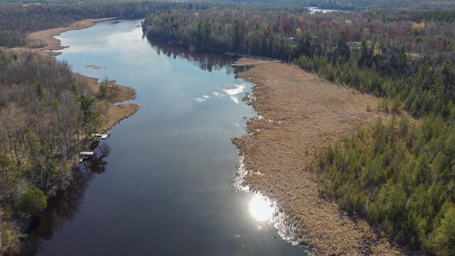 6615 Birchwood Shores Ln, Oconto Falls, WI 54154 - drone / aerial view of a heavily wooded area and a large body of water
