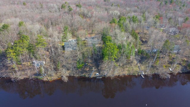 6615 Birchwood Shores Ln, Oconto Falls, WI 54154 - view of property location with a nearby body of water and a forest