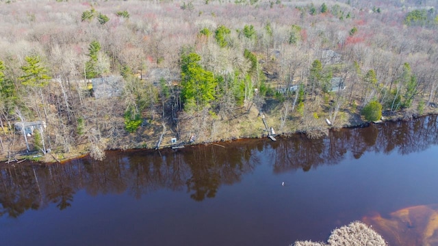 6615 Birchwood Shores Ln, Oconto Falls, WI 54154 - aerial view of property's location featuring a large body of water and a heavily wooded area