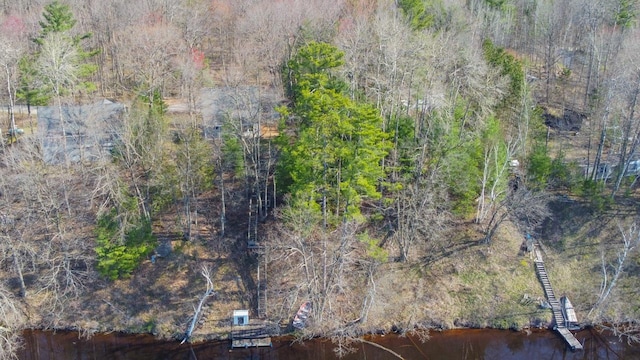 6615 Birchwood Shores Ln, Oconto Falls, WI 54154 - aerial view of property's location featuring a large body of water