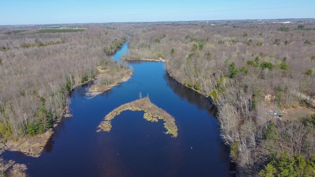 6615 Birchwood Shores Ln, Oconto Falls, WI 54154 - aerial view of property's location with a nearby body of water and a forest