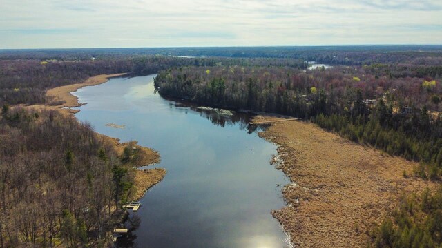 6615 Birchwood Shores Ln, Oconto Falls, WI 54154 - drone / aerial view of a heavily wooded area and a nearby body of water