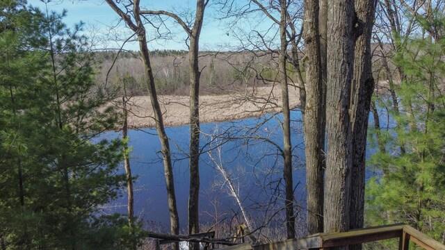 6615 Birchwood Shores Ln, Oconto Falls, WI 54154 - water view featuring a heavily wooded area