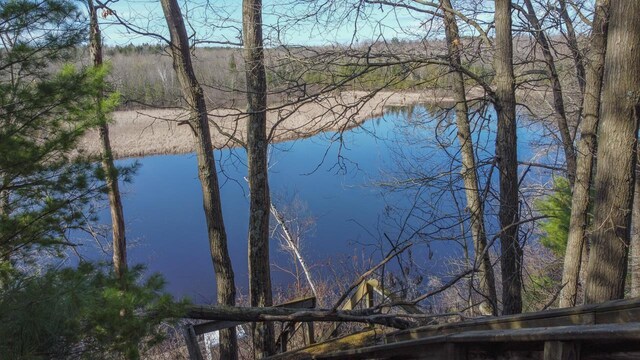 6615 Birchwood Shores Ln, Oconto Falls, WI 54154 - water view