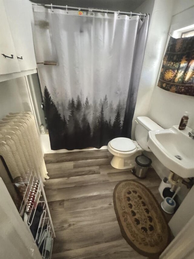 180 N Wisconsin St, Berlin, WI 54923 - full bath featuring wood finished floors, toilet, a sink, and a shower with shower curtain