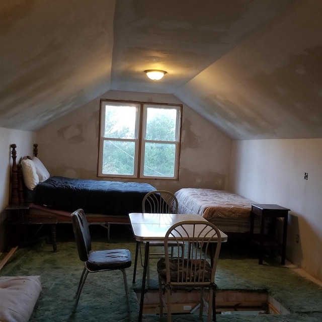 N15601 12th Ave, Necedah, WI 54646 - carpeted bedroom with vaulted ceiling