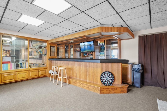 2108 Lawrence Dr, De Pere, WI 54115 - indoor bar featuring carpet floors and a drop ceiling