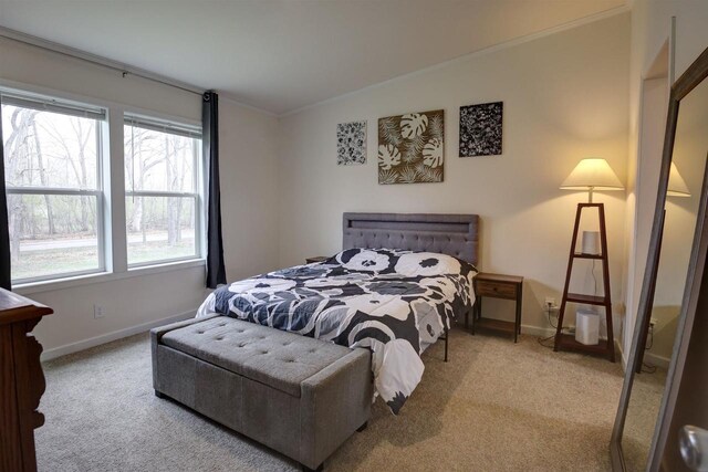 W5977 Lakeview Dr, Montello, WI 53949 - carpeted bedroom featuring baseboards and ornamental molding