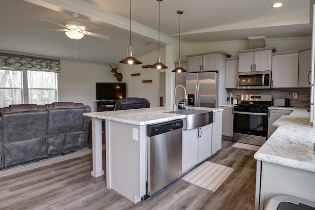 W5977 Lakeview Dr, Montello, WI 53949 - kitchen featuring stainless steel appliances, a sink, open floor plan, tasteful backsplash, and wood finished floors