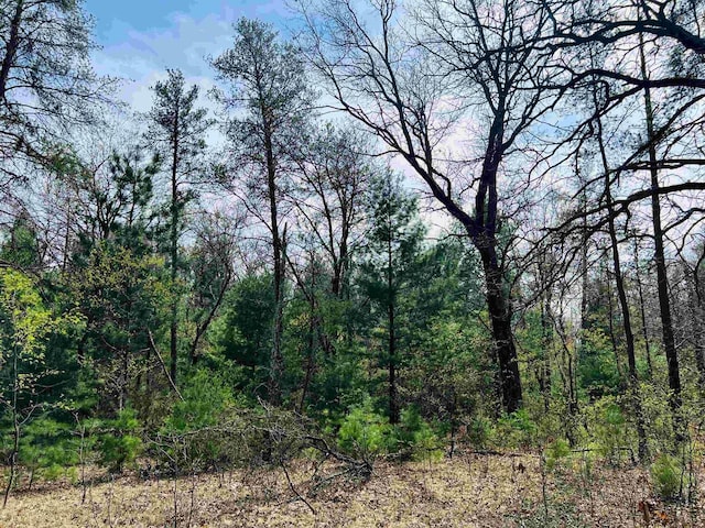 L8 W 7th Ct, Friendship, WI 53934