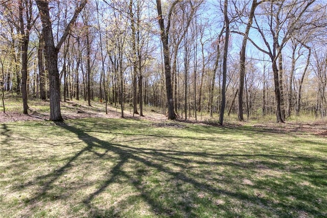 E1924 Kirk Ct, Eau Claire, WI 54701 - view of grassy yard with a forest view