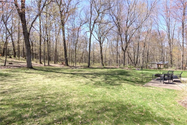 E1924 Kirk Ct, Eau Claire, WI 54701 - view of green lawn