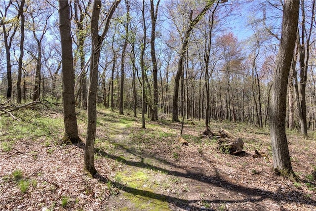 E1924 Kirk Ct, Eau Claire, WI 54701 - view of wooded area