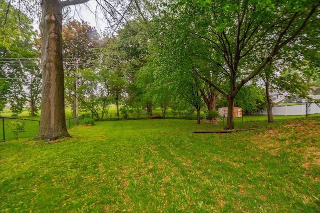 49 Schenk St, Madison, WI 53714 - view of yard