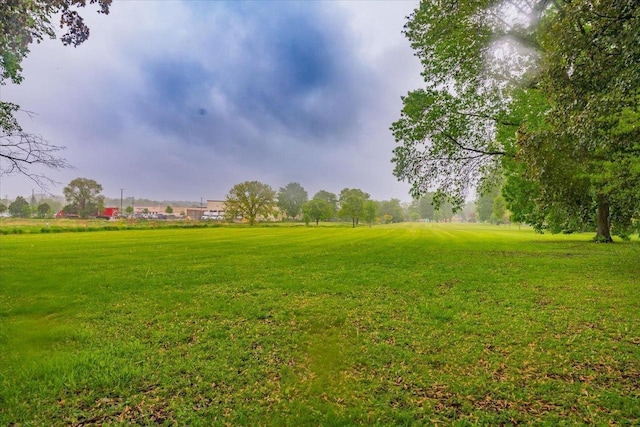 49 Schenk St, Madison, WI 53714 - view of green lawn