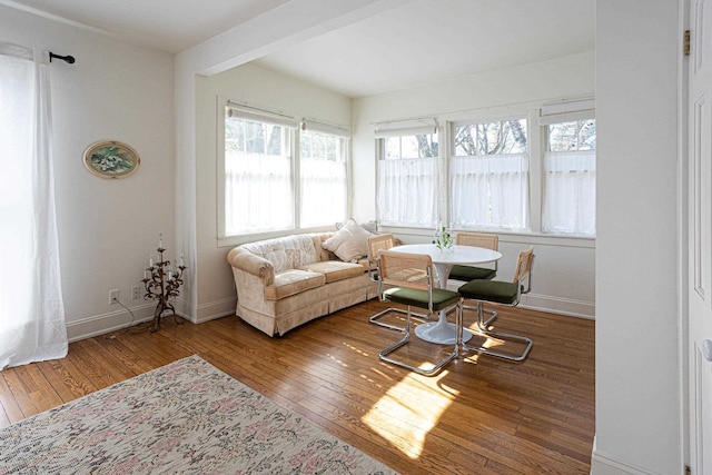 395 Lake St, Green Lake, WI 54941 - living area featuring hardwood / wood-style flooring and baseboards