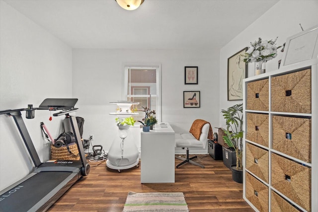 office area with dark wood finished floors