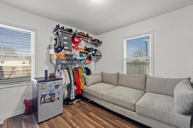 living area featuring plenty of natural light, dark wood-style floors, and baseboards