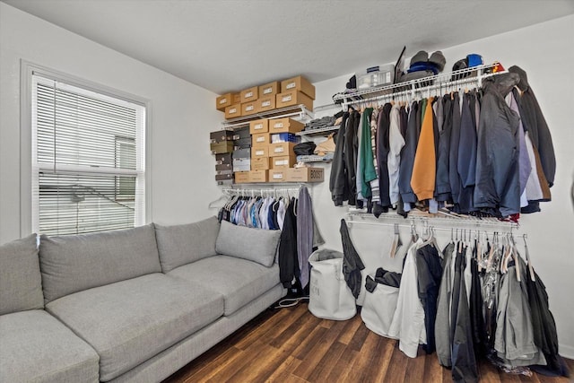 spacious closet with wood finished floors