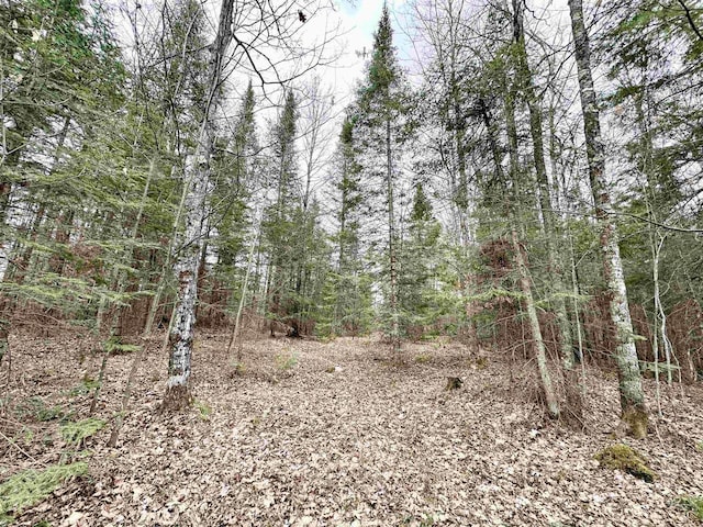10ACRES State Highway 55, Ainsworth, WI 54462