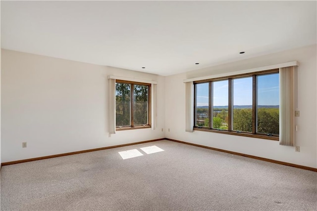 carpeted empty room with healthy amount of natural light and baseboards