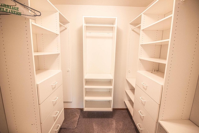 2415 Walnut Grove Ct Unit B, Brookfield, WI 53005 - walk in closet with dark carpet