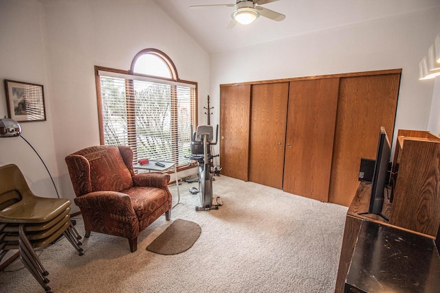 2415 Walnut Grove Ct Unit B, Brookfield, WI 53005 - sitting room featuring carpet flooring, ceiling fan, high vaulted ceiling, and healthy amount of natural light