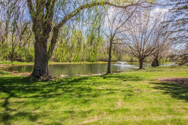 2415 Walnut Grove Ct Unit B, Brookfield, WI 53005 - view of green lawn featuring a water view