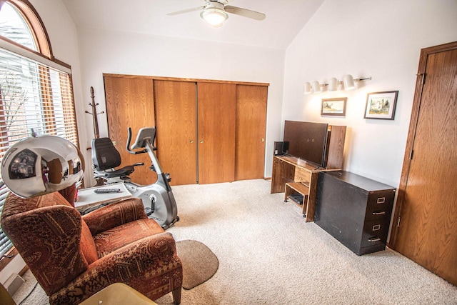 2415 Walnut Grove Ct Unit B, Brookfield, WI 53005 - exercise area featuring carpet flooring, a ceiling fan, and high vaulted ceiling