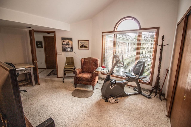 2415 Walnut Grove Ct Unit B, Brookfield, WI 53005 - sitting room featuring carpet and lofted ceiling