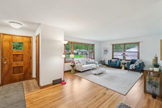 6013 Gateway Grn, Monona, WI 53716 - living room featuring wood finished floors and baseboards