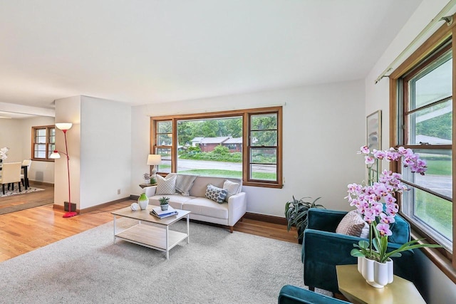 6013 Gateway Grn, Monona, WI 53716 - living room featuring wood finished floors and baseboards