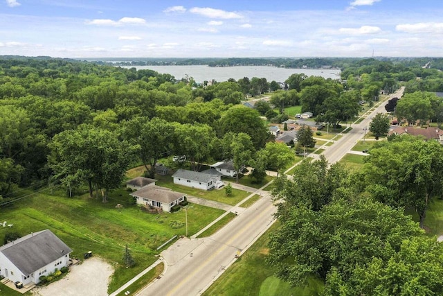 841 Legion Dr, Twin Lakes, WI 53181 - aerial view of a large body of water